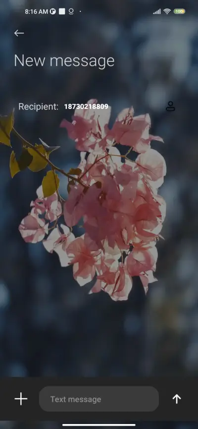 Spring sun - Screenshot 8