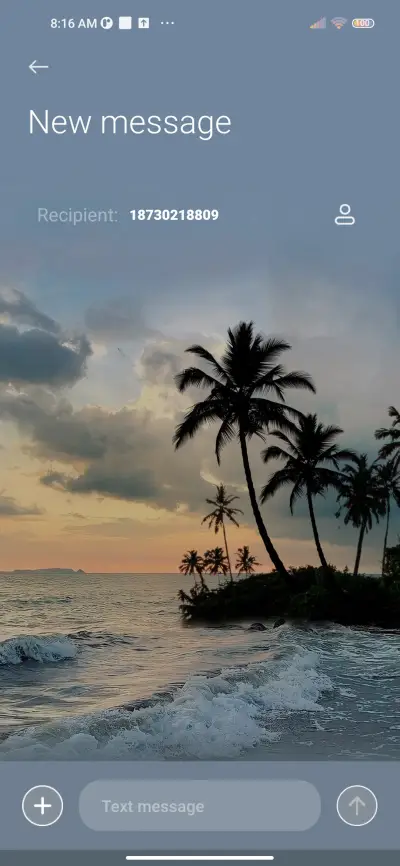 Coconut Forest - Screenshot 9