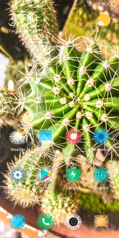 Cactus_DWM2 - Screenshot 2
