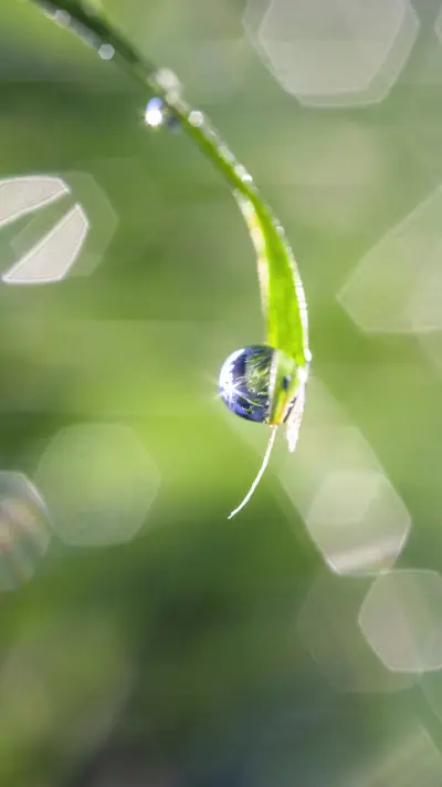 The ancients observed the rain - Screenshot 1