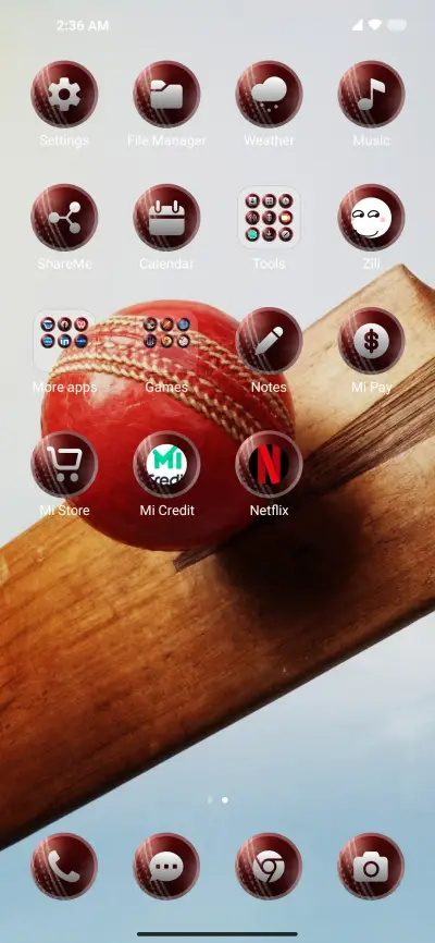 Bat Cricket - Screenshot 3