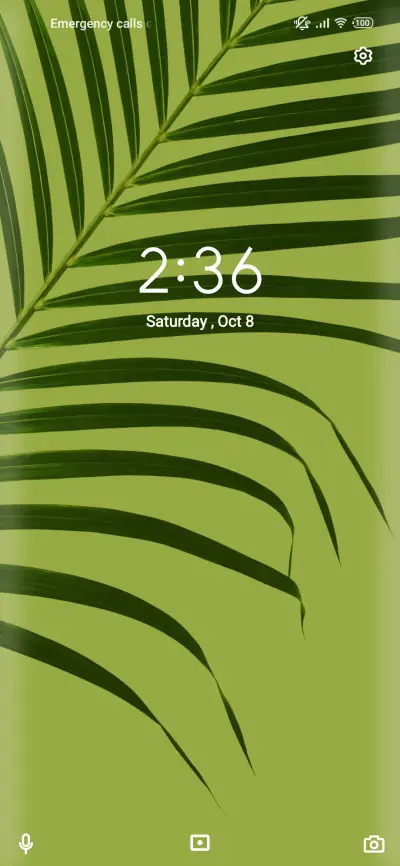 Classic_beauty - Screenshot 1