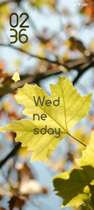 Leafy Wisdom - Screenshot 1