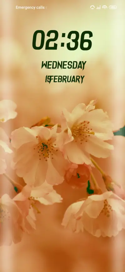 Sakura Flower