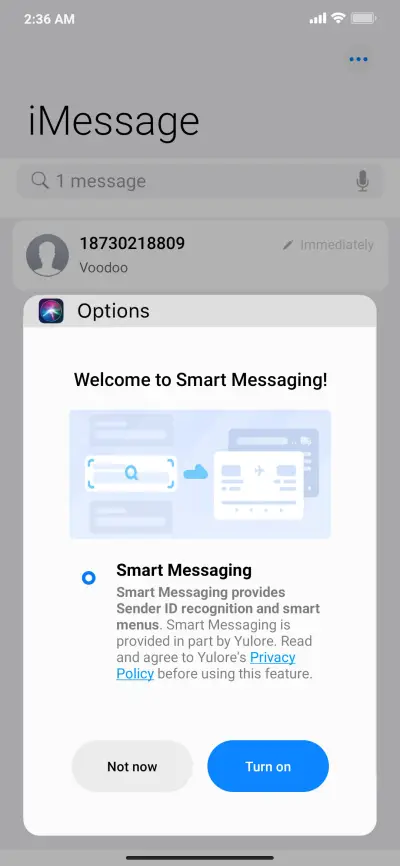 P-iOS Thema 12.5 - Screenshot 7