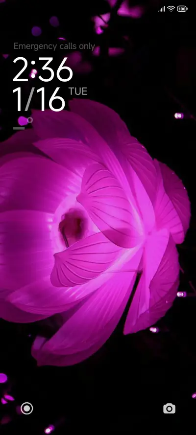 RosaBlackV15 - Screenshot 1