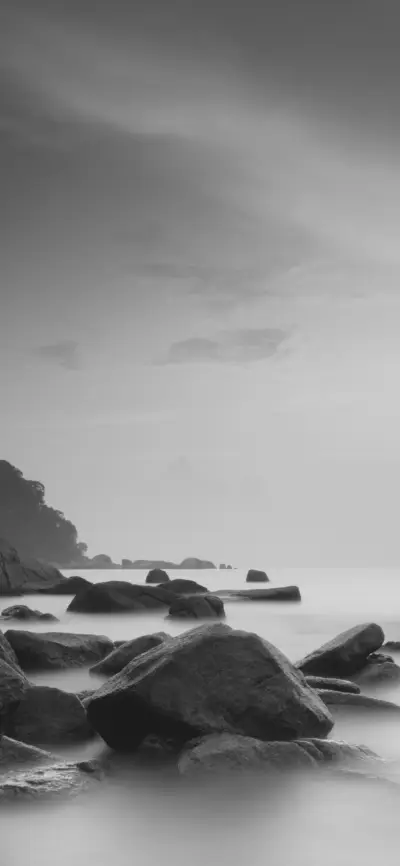 Black and white world-PAIXIN