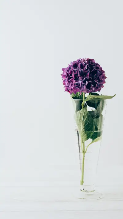 Simple eye care flowers