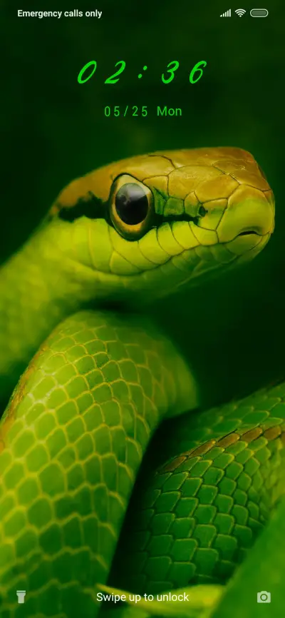 Reptile_3MDP THEME for Xiaomi MIUI HyperOS