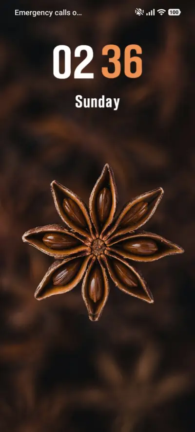 Seed Flower - Screenshot 1