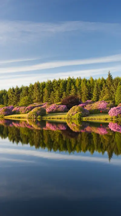 Autumn photography t