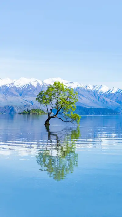 That Wanaka Tree in lake Wanaka, New Zealand