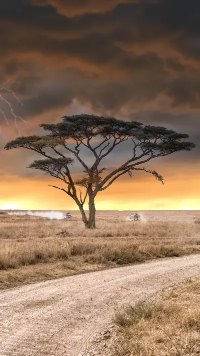 A game drive safari during thunderstorm