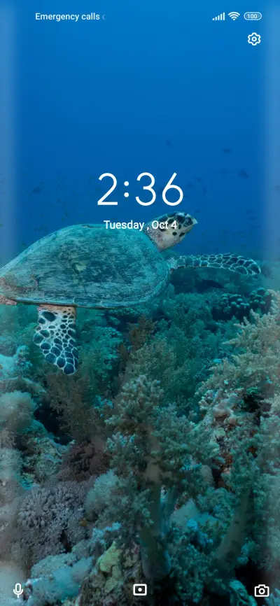 Ocean - Screenshot 1