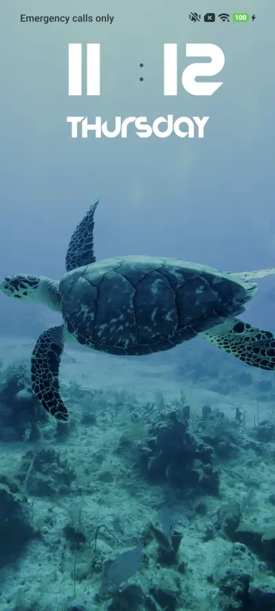 Green Turtle