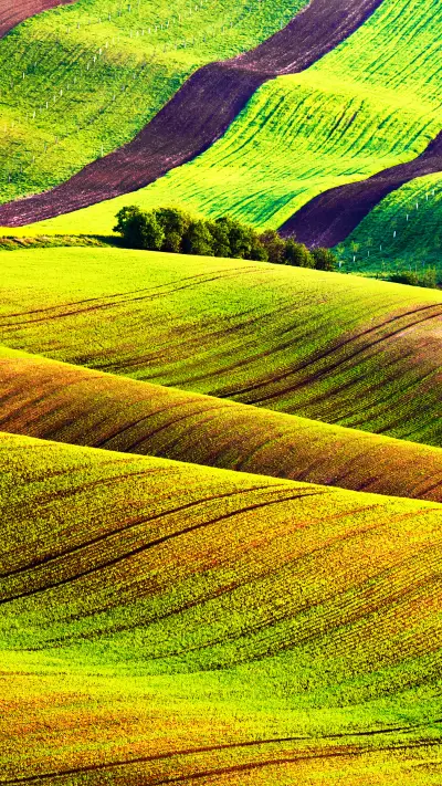 Green fields - Screenshot 1