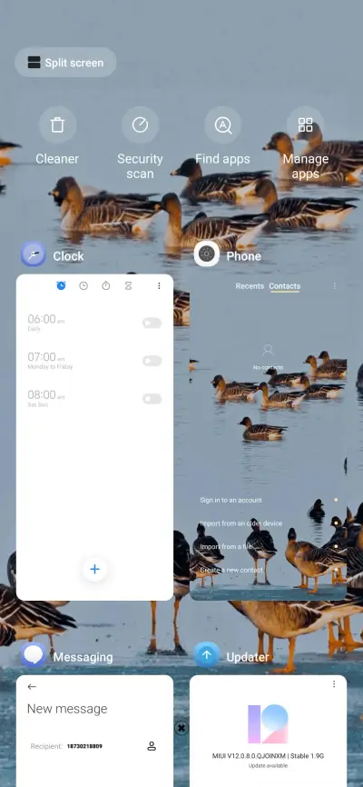 bird watching - Screenshot 4