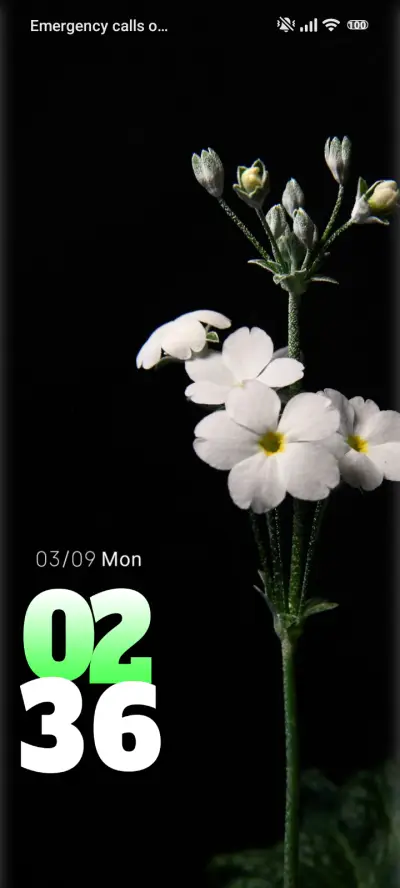 black flowers