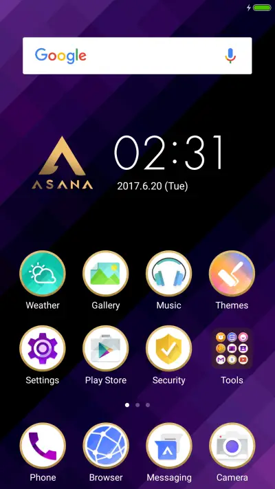 ASANA Global - Screenshot 2