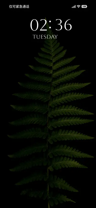 Fern Glow