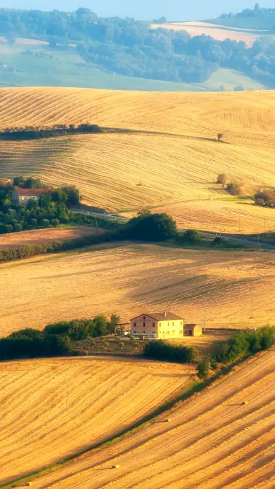 Summer Farm Scenery in Marche