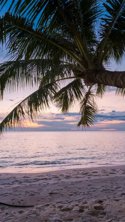 beautiful wallpapers-06 - Screenshot 1