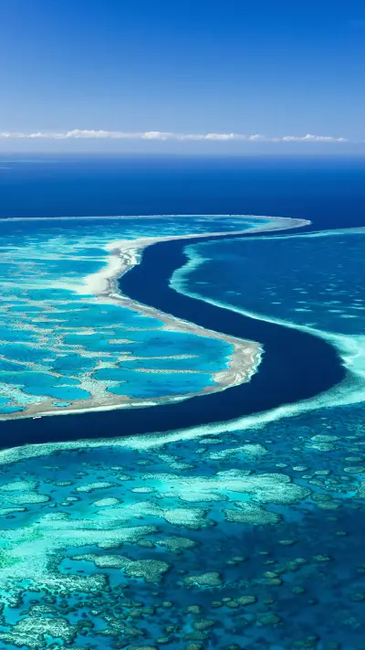 The coral of the great barrier reef was burned to death - Screenshot 1