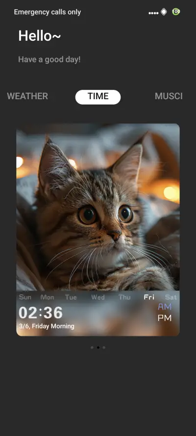cat UI