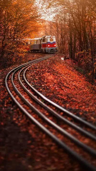 Children's train on the S track in the Hungarian woods