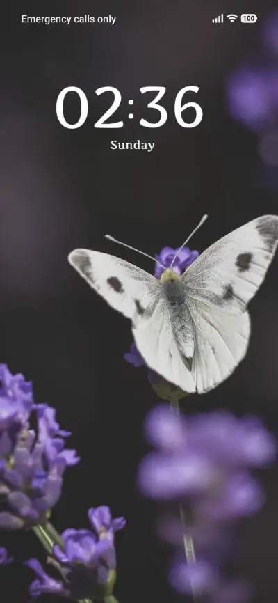 Purple Butterfly THEME for Xiaomi MIUI HyperOS