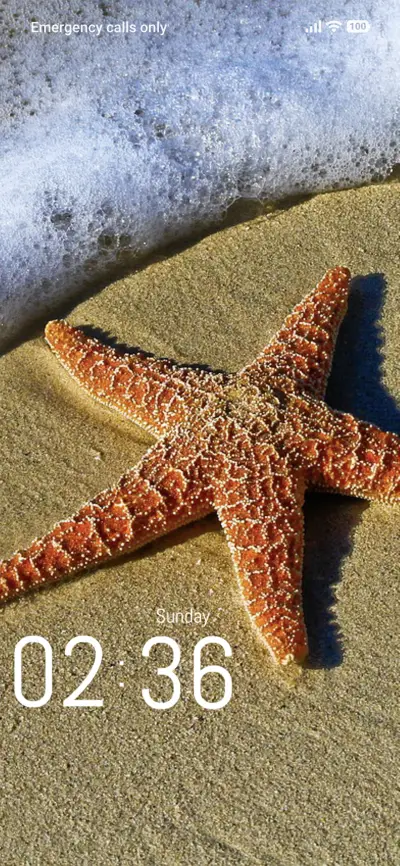 Starfish