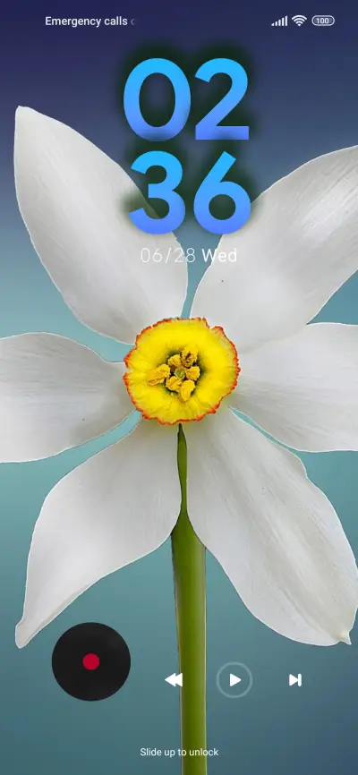 flower beauty - Screenshot 1