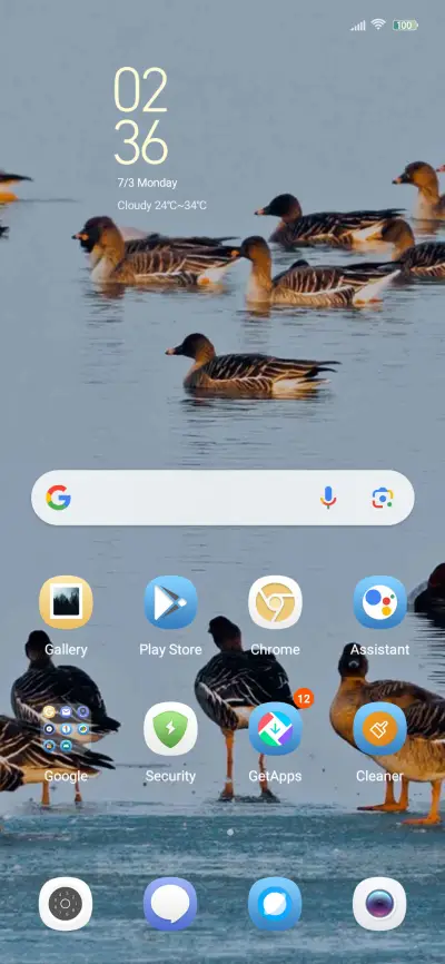 bird watching - Screenshot 2