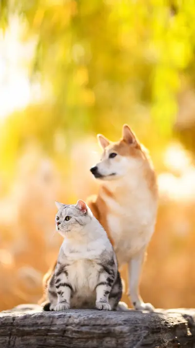 According to reports 70