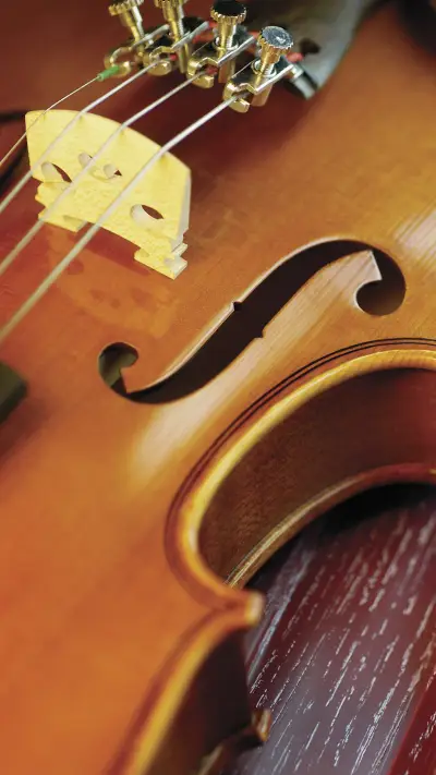 Extreme closeup of violin