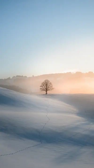 May the winter solstice come as promised 20