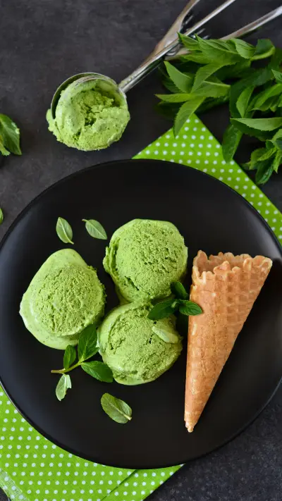 Home made delicious ice cream 0 - Screenshot 1