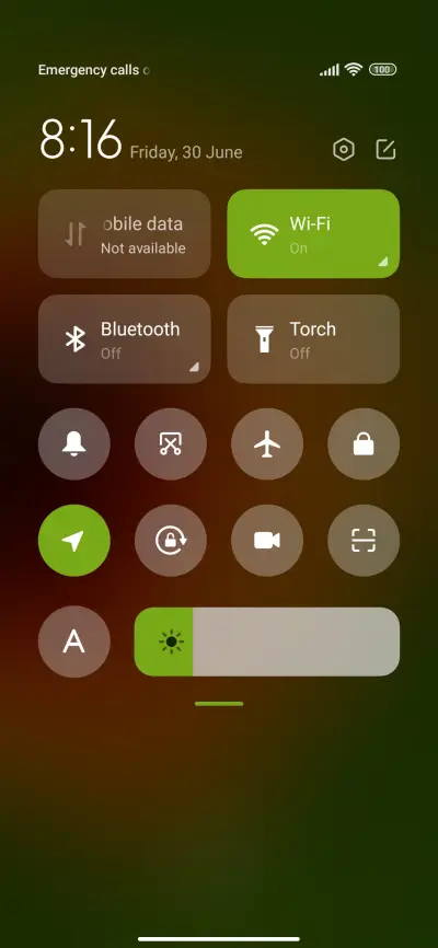 sunflower beauty - Screenshot 5