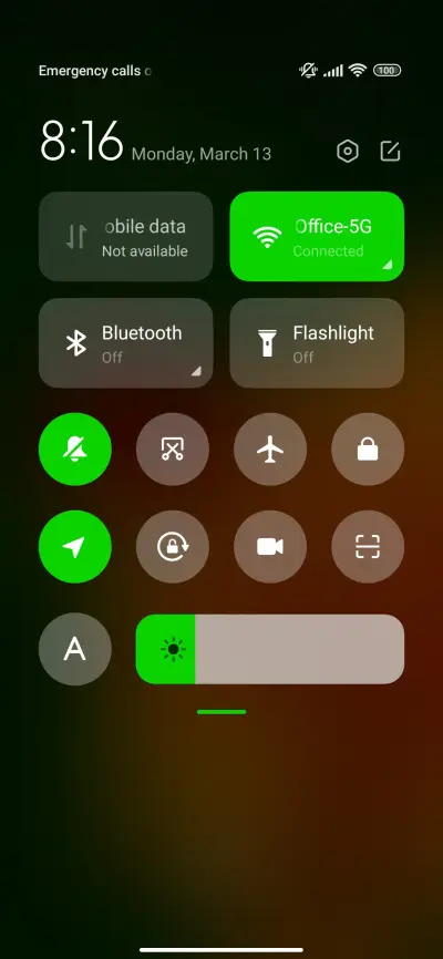 sunflower bug - Screenshot 5