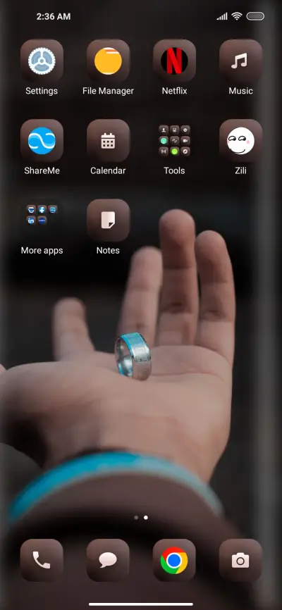 Proposal_1 - Screenshot 3