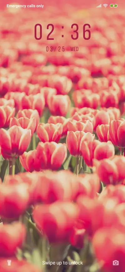 RedTulips_3MDS - Screenshot 1