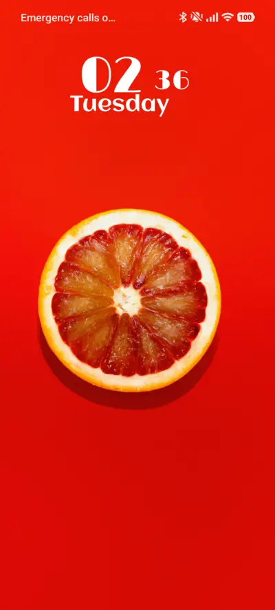 Golden Slice - Screenshot 1