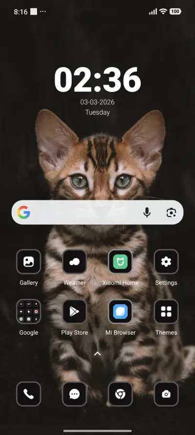 Black Cat - Screenshot 2