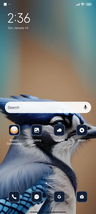 Bird - Screenshot 2