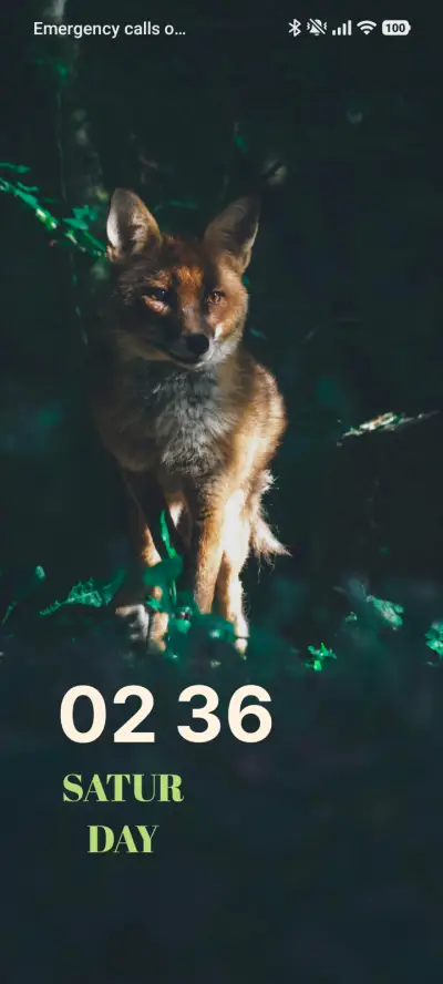 Dark Fox - Screenshot 1