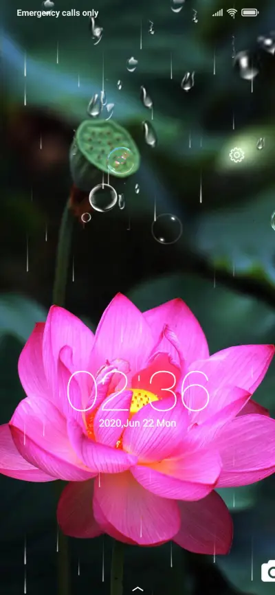 Lotus flower red - Screenshot 2