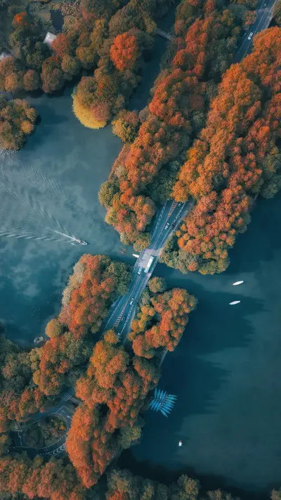 The colorful west lake in all seasons