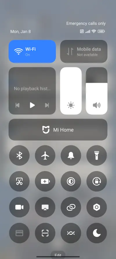 panda in spring - Screenshot 5