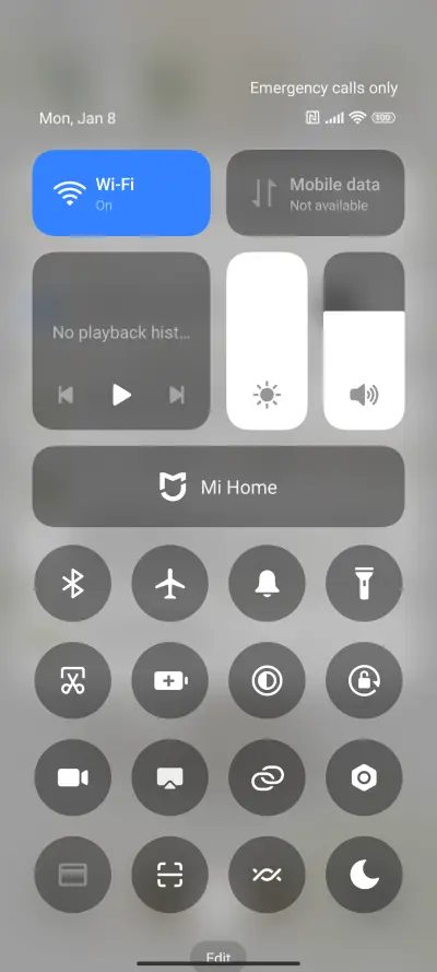 Spring Sunflowers - Screenshot 6