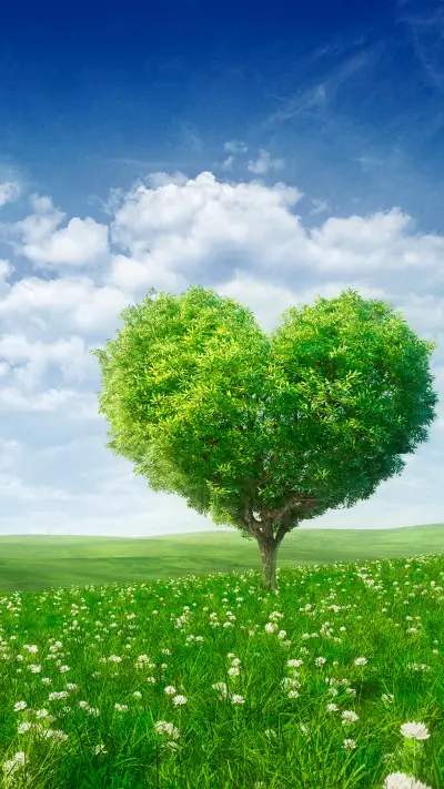 Green eye protection prairie wallpaper